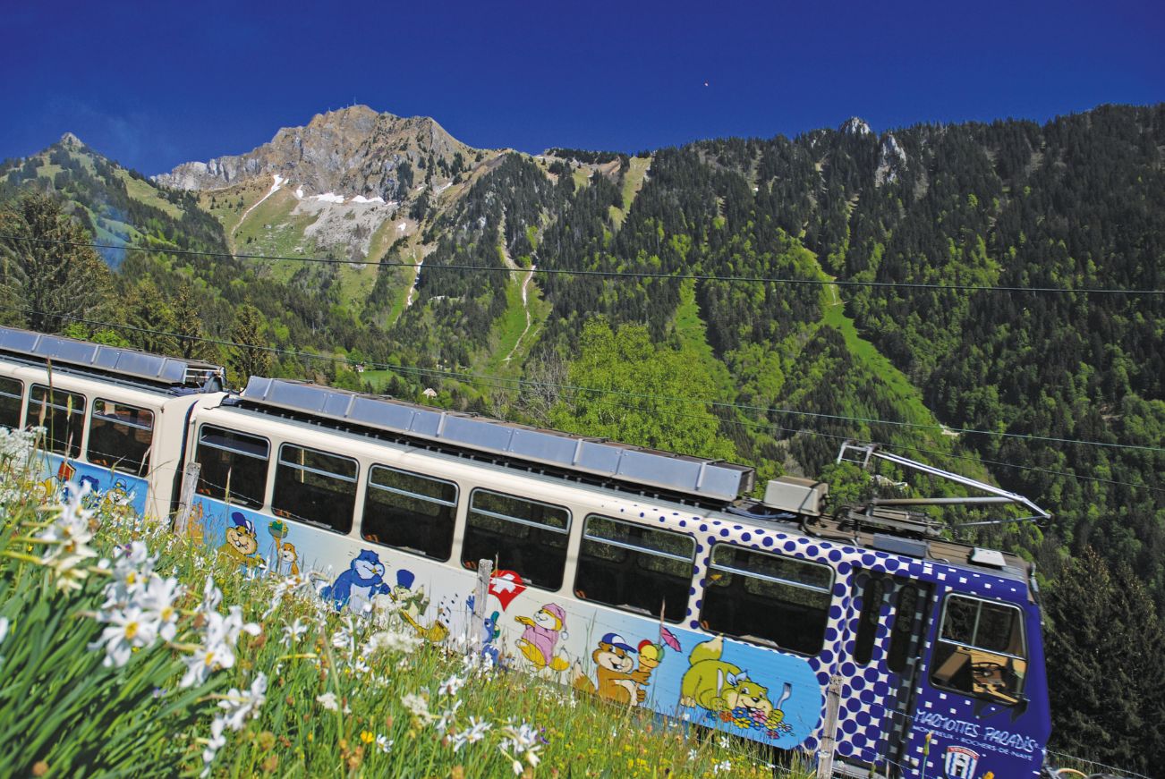 Train_a_cremaillere_montreux