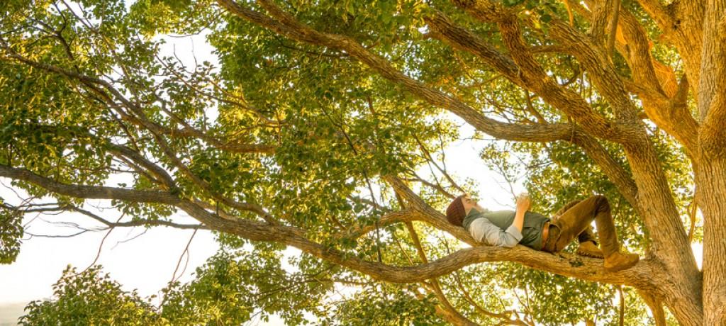 Gestion immobilière 