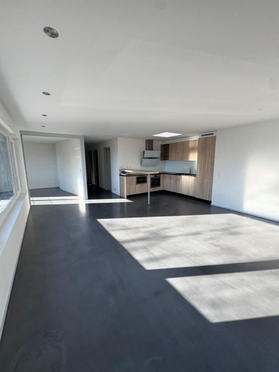 Appartement de 3,5 pièces avec vue partielle sur la lac