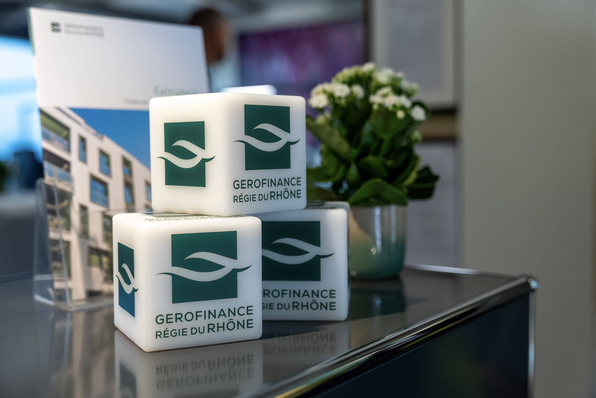 Inauguration Gérfinance_17 (1).jpg